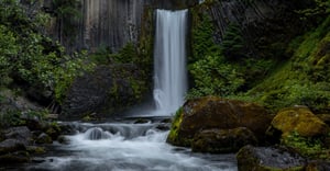 Oregon Parking Information