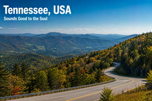 Discover smart parking solutions in Tennessee, USA that improve accessibility, parking operations, and user experience. ParqEx helps businesses, property owners, and municipalities optimize parking resources through innovative technology and efficient parking management solutions.