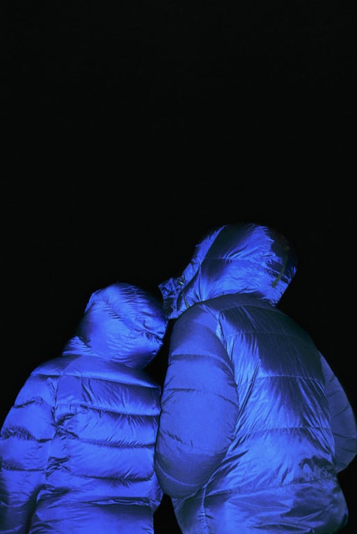 Image with dominant color #3f57d6