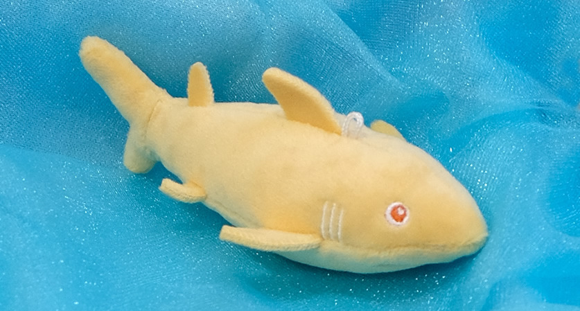 Image with dominant color #2da2c5