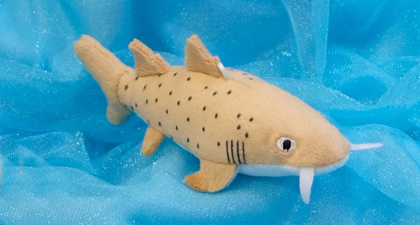 Image with dominant color #289ec9