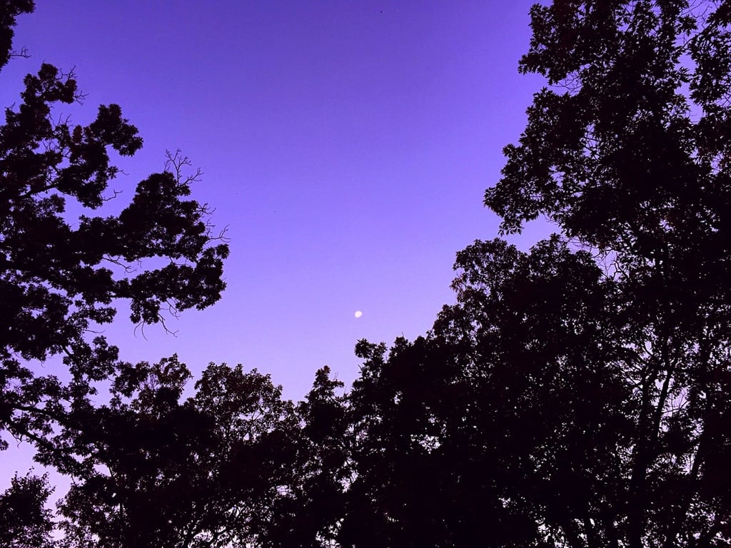 Image with dominant color #b09af2