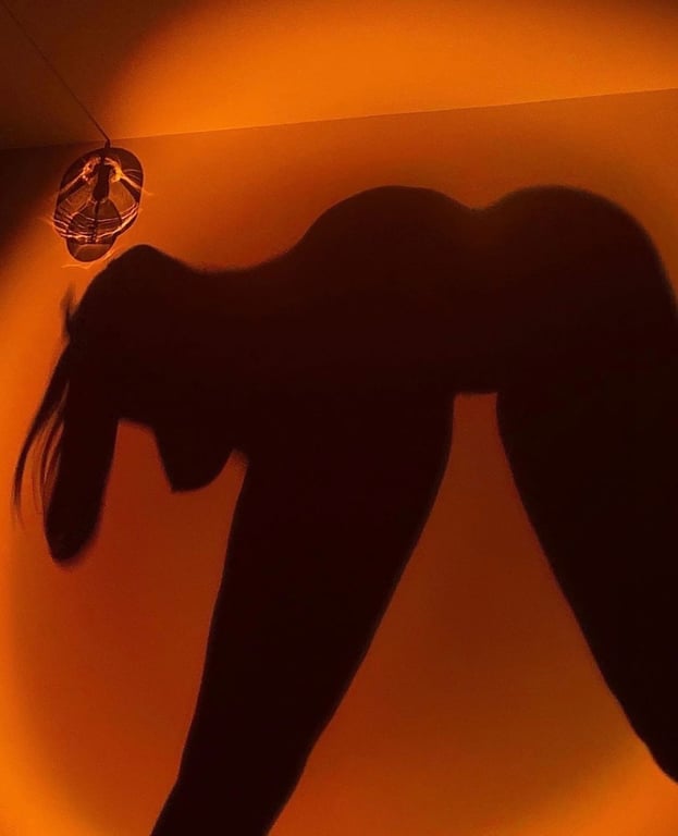 Image with dominant color #d55a06