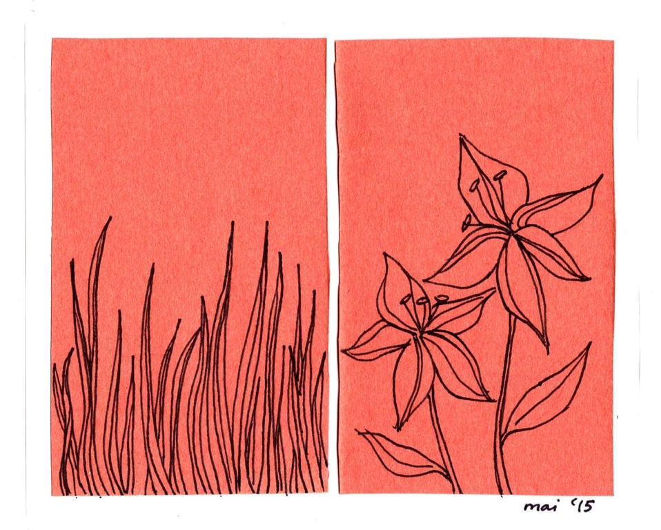 Image with dominant color #f47061