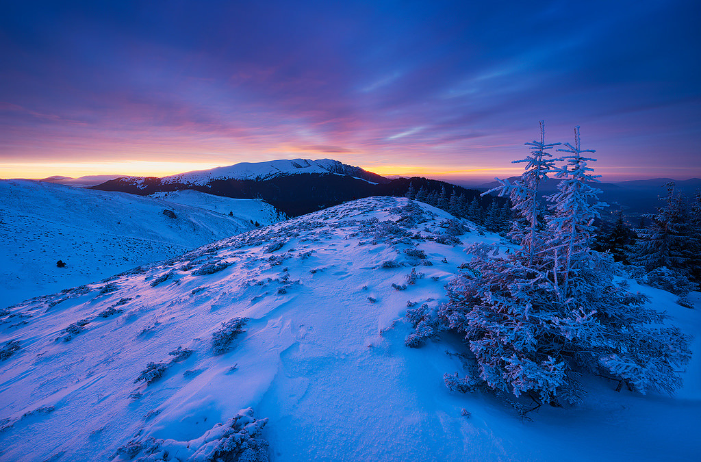 Image with dominant color #3060b3