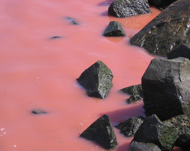 Image with dominant color #ce8389