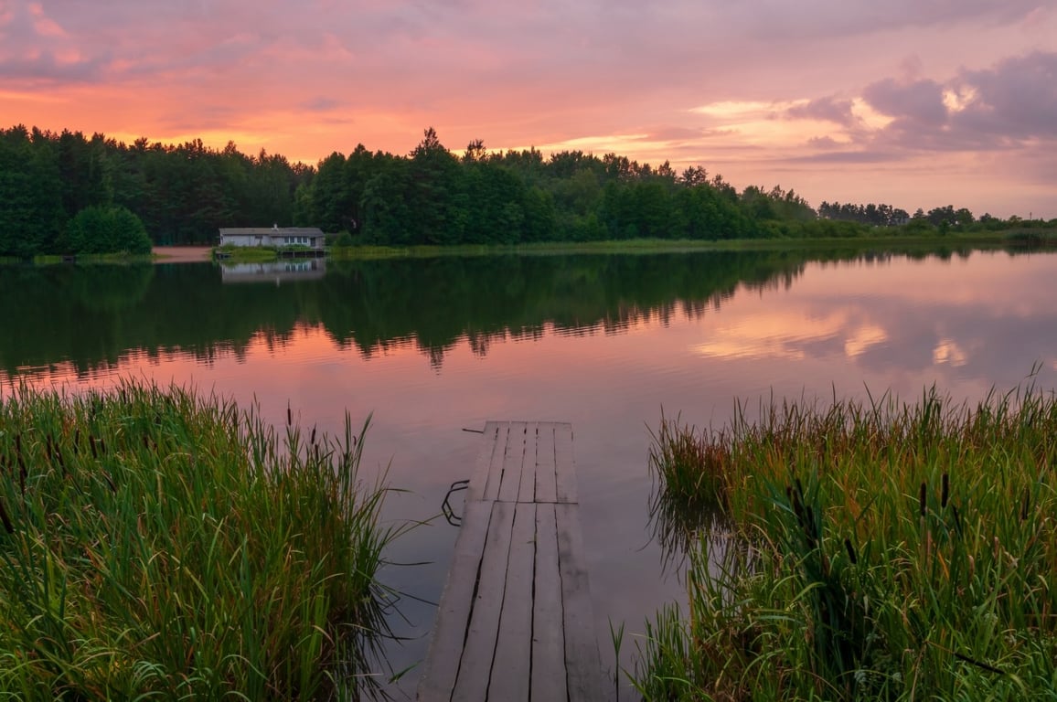 Image with dominant color #cf968e