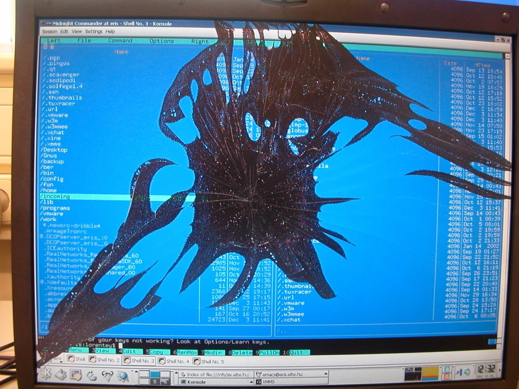 Image with dominant color #2391d3