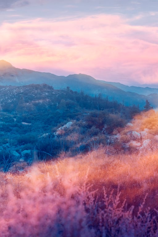 Image with dominant color #ddafbd