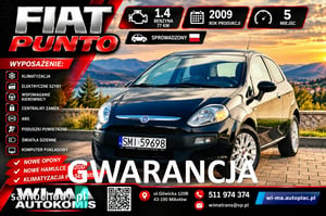 Fiat Punto Hatchback 2009
