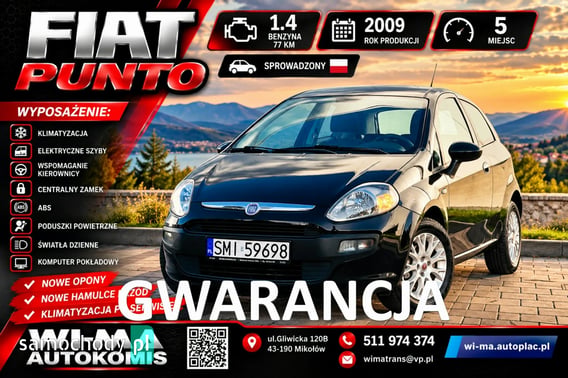 Fiat Punto Hatchback 2009