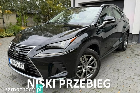 Lexus NX SUV 2021