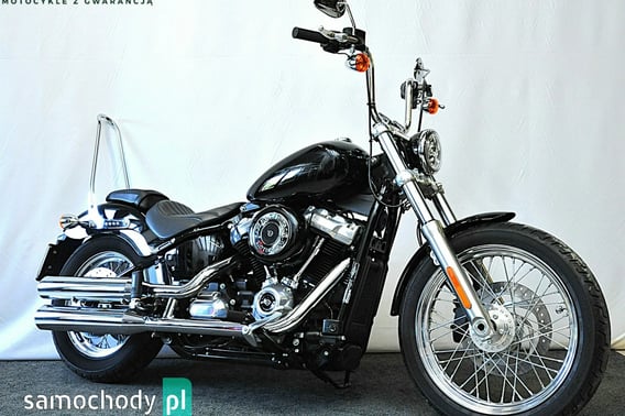 HARLEY-DAVIDSON Softail Cruiser 2021