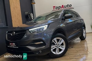 Opel Grandland X SUV 2019