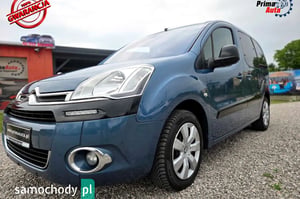 Citroën Berlingo Minivan 2013