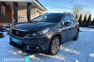 Peugeot 2008 Minivan 2018