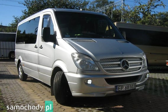 Mercedes-Benz Sprinter Minivan 2010