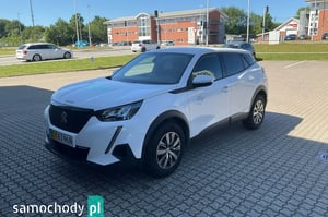 Peugeot 2008 Van 2021