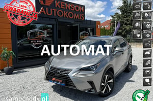 Lexus NX SUV 2020