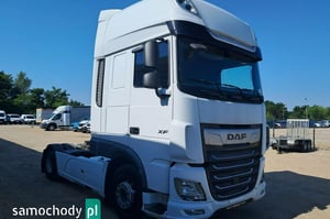 DAF xf 480 ft Ciężarowe 2018