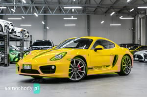 Porsche Cayman Coupe 2015