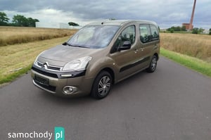 Citroen Berlingo Minivan 2012
