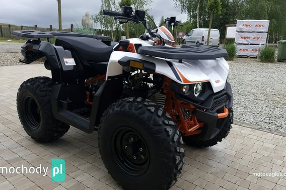 KANUNI Inny Quad 2024