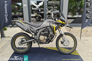 Voge 300GY RALLY Enduro 2025