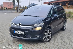 Citroen C4 Picasso Minivan 2013