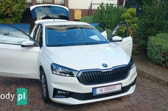 Skoda Fabia Practik Van 2024