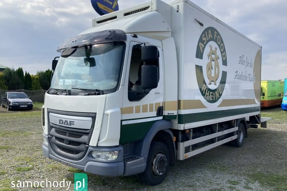 DAF Inny Chłodnia/Izoterma 2014