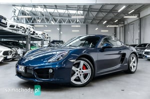 Porsche Cayman Coupe 2013