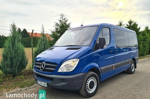 Mercedes-Benz Sprinter Minivan 2007