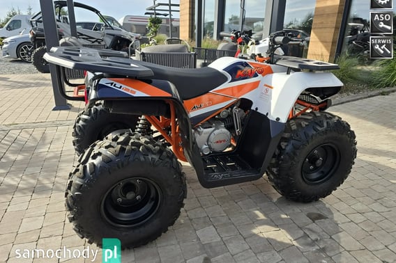 KAWASAKI Inny Quad 2024