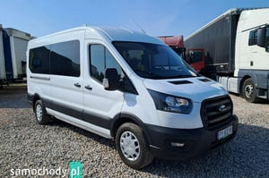 Ford Transit Furgon 2023