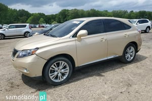 Lexus RX SUV 2010