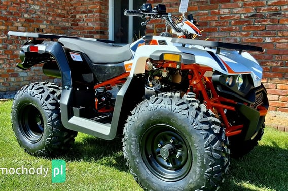 KAWASAKI Inny Quad 2024