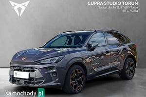 Cupra Terramar SUV 2024