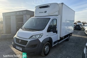Fiat Ducato Chłodnia/Izoterma 2014
