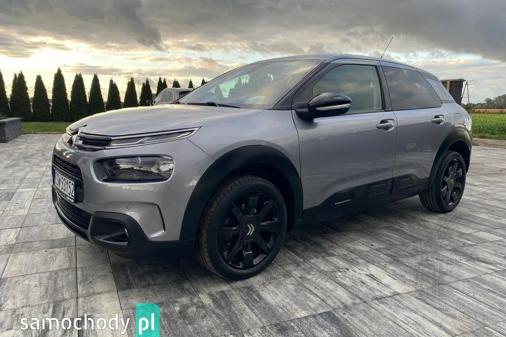 Citroen C4 Cactus  ogoszenia sprzeday, nowe i uywane | Samochody.pl