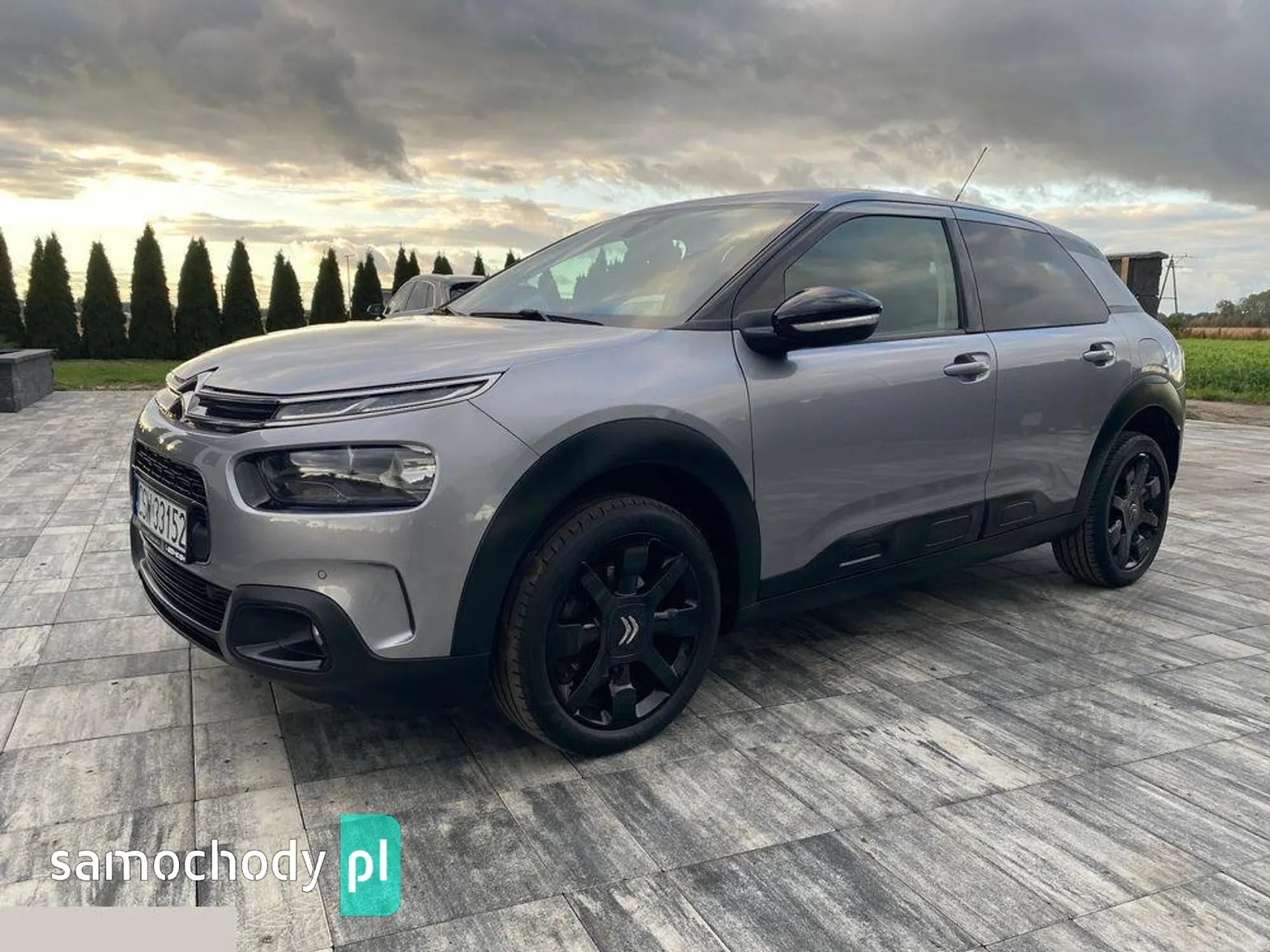 Citroen C4 Cactus  ogoszenia sprzeday, nowe i uywane | Samochody.pl