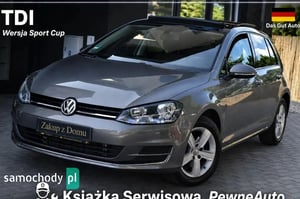 Volkswagen Golf Hatchback 2013
