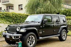 Jeep Wrangler Terenowy 2020