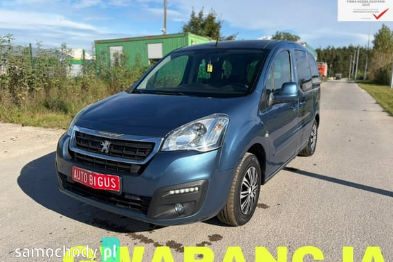 Peugeot Partner Van 2018