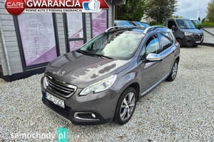 Peugeot 2008 Minivan 2014