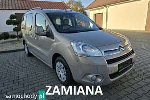 Citroen Berlingo Minivan 2010