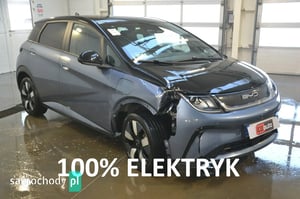 BYD Dolphin Hatchback 2023