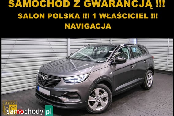 Opel Grandland X SUV 2019