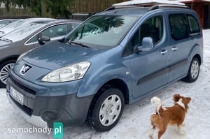 Peugeot Partner Minivan 2008