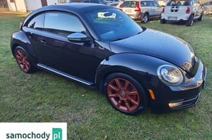 Volkswagen Beetle Hatchback 2013